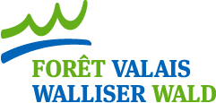 Forêt Valais